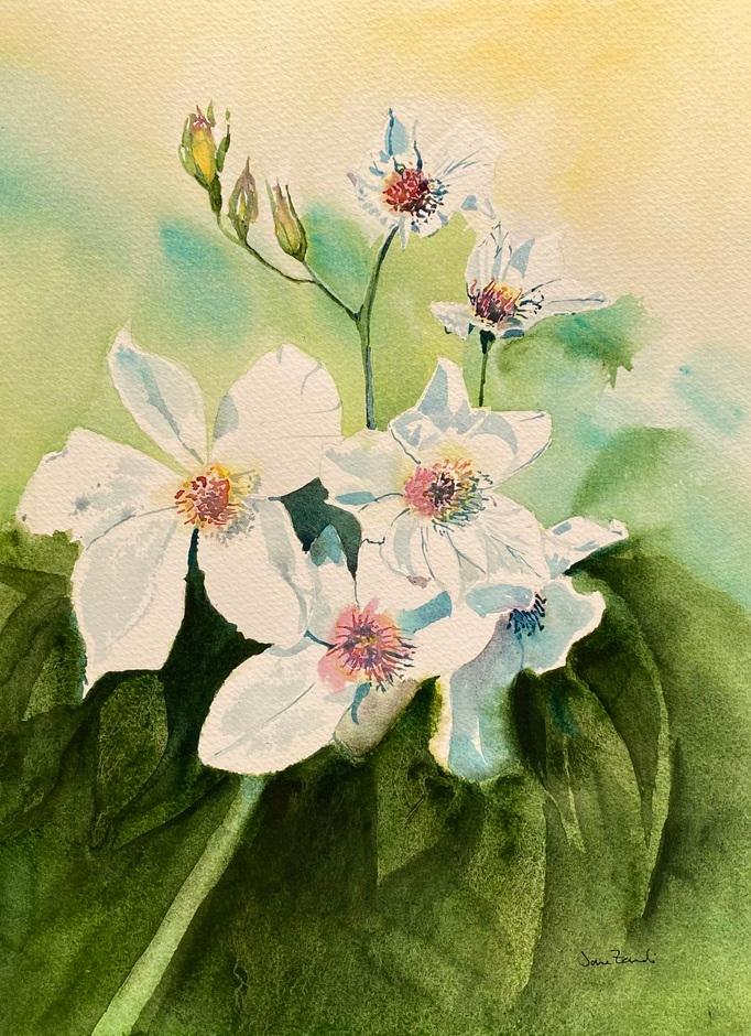 Artwork